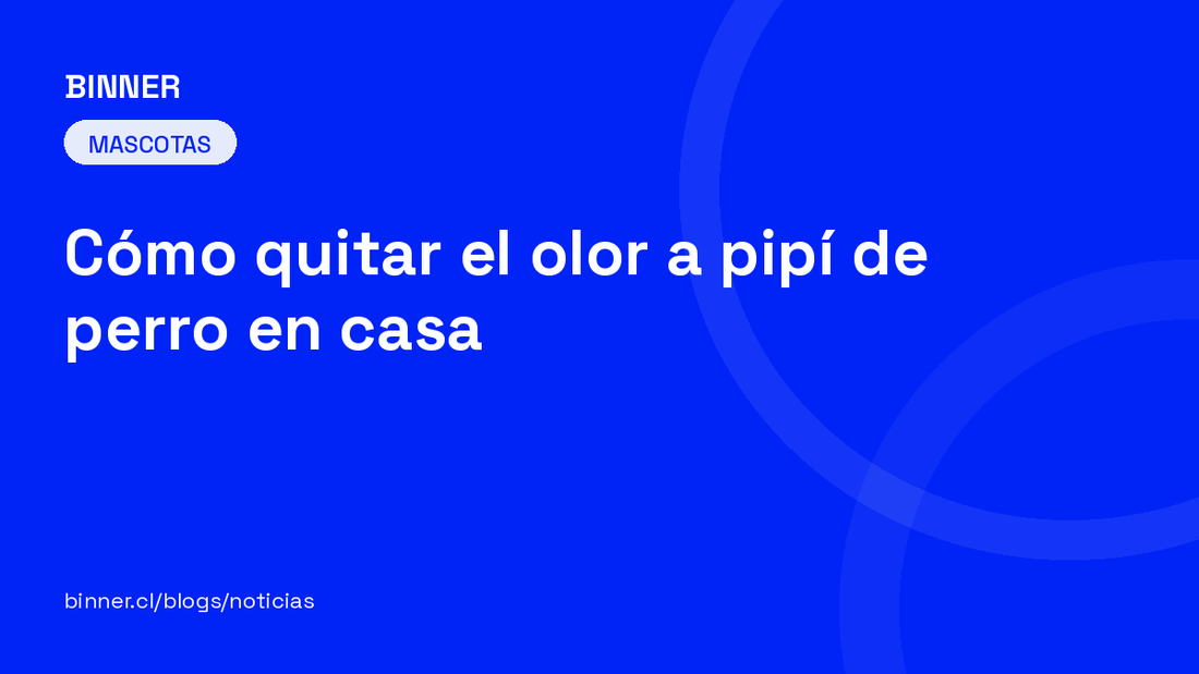 Cómo quitar el olor a pipí de perro en casa