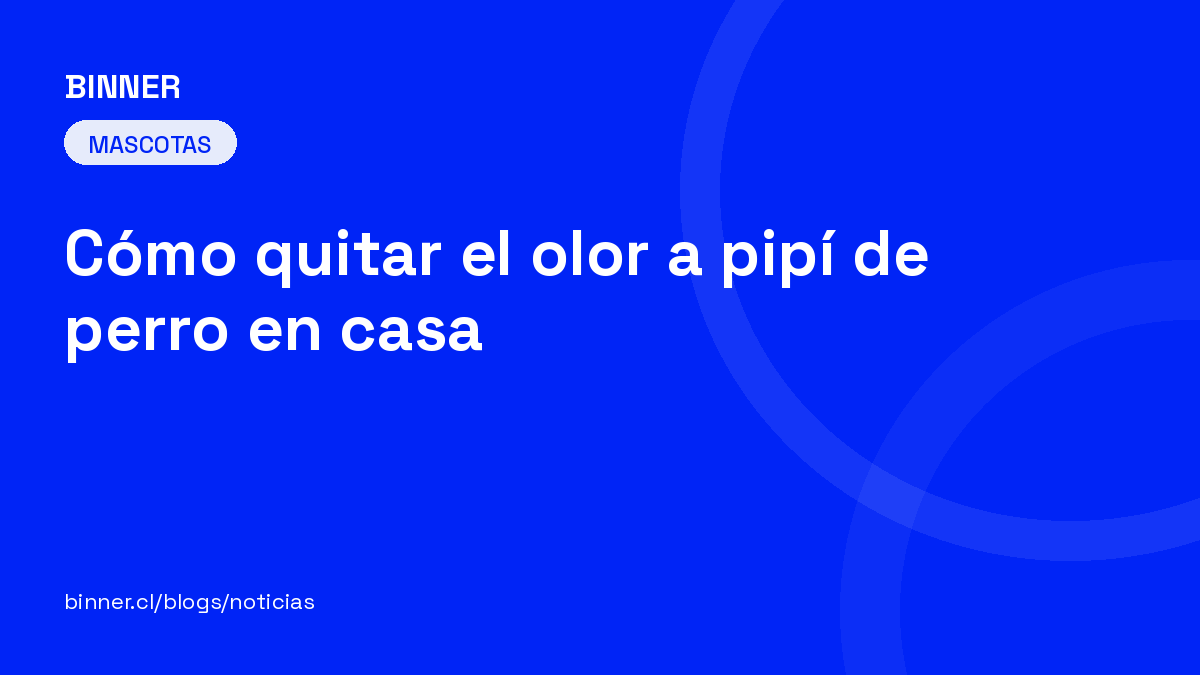 Cómo quitar el olor a pipí de perro en casa