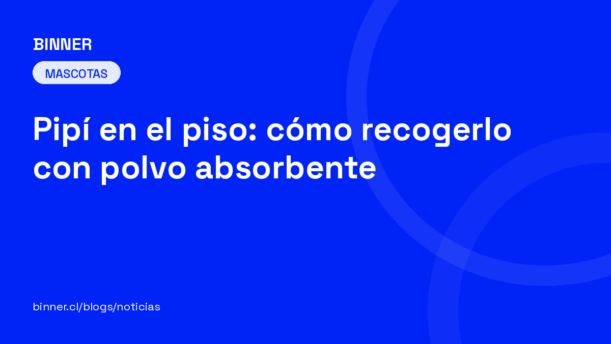 Pipí en el piso: cómo recogerlo con polvo absorbente