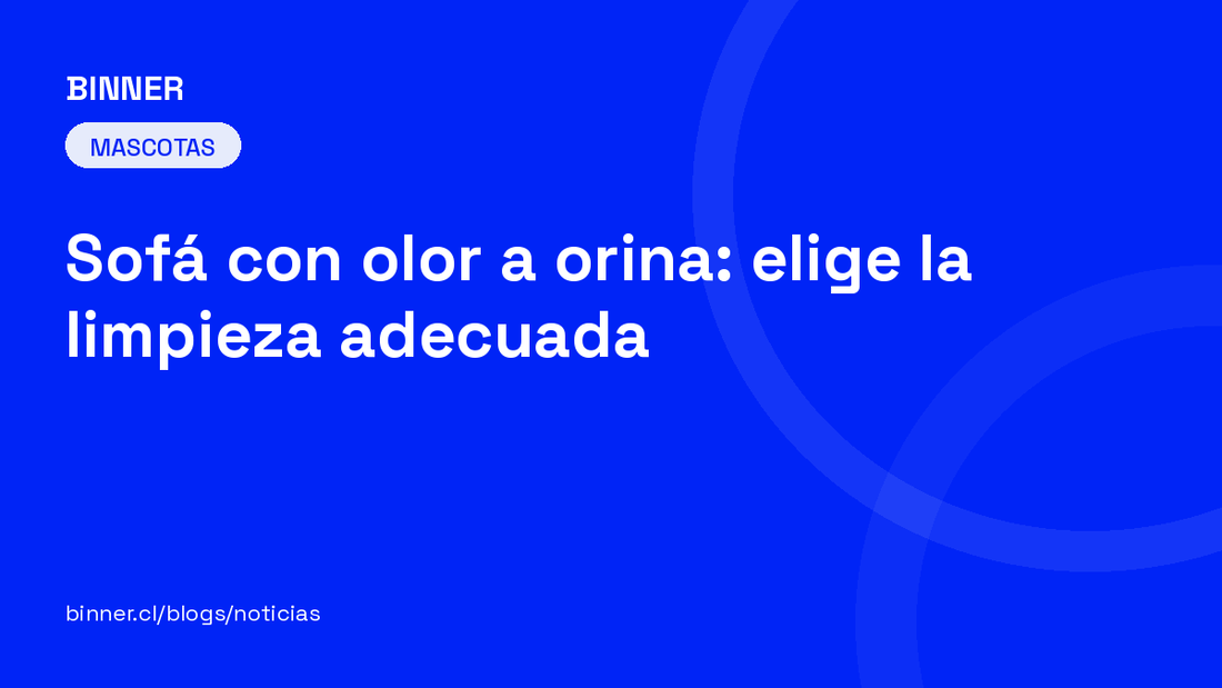 Sofá con olor a orina: elige la limpieza adecuada